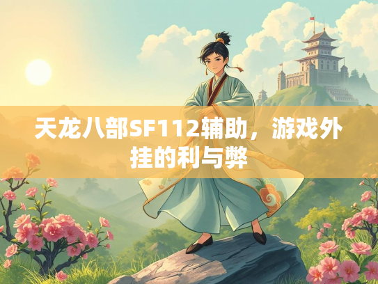天龙八部SF112辅助，游戏外挂的利与弊