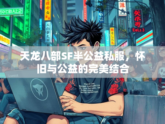 天龙八部SF半公益私服，怀旧与公益的完美结合
