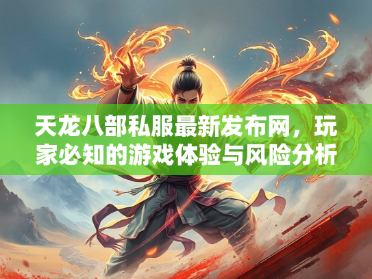天龙八部私服最新发布网，玩家必知的游戏体验与风险分析