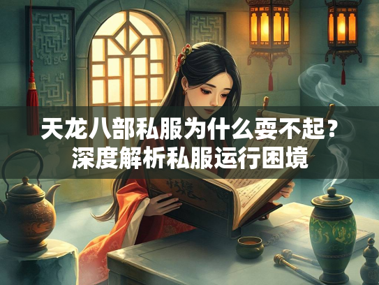 天龙八部私服为什么耍不起？深度解析私服运行困境  第2张