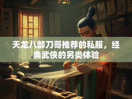 天龙八部刀哥推荐的私服，经典武侠的另类体验  第2张
