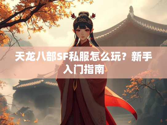 天龙八部SF私服怎么玩？新手入门指南