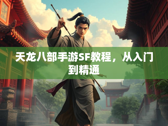 天龙八部手游SF教程，从入门到精通