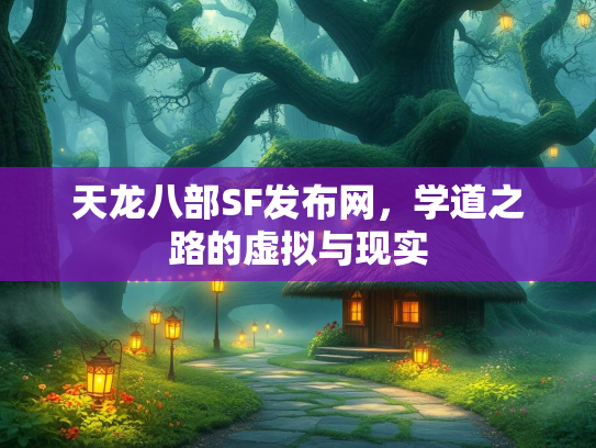 天龙八部SF发布网，学道之路的虚拟与现实