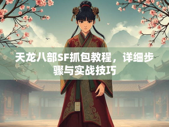天龙八部SF抓包教程，详细步骤与实战技巧