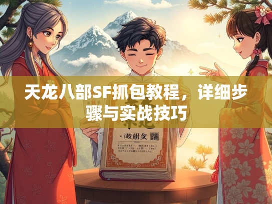 天龙八部SF抓包教程，详细步骤与实战技巧