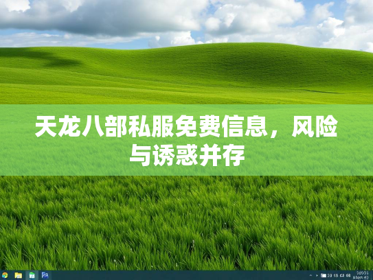天龙八部私服免费信息，风险与诱惑并存