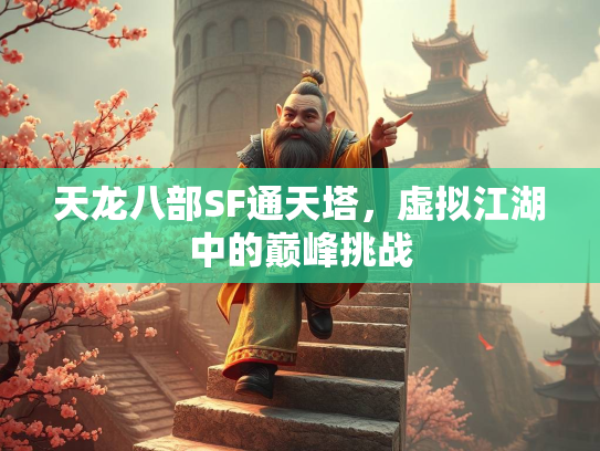 天龙八部SF通天塔，虚拟江湖中的巅峰挑战