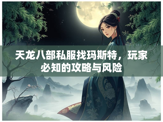 天龙八部私服找玛斯特，玩家必知的攻略与风险