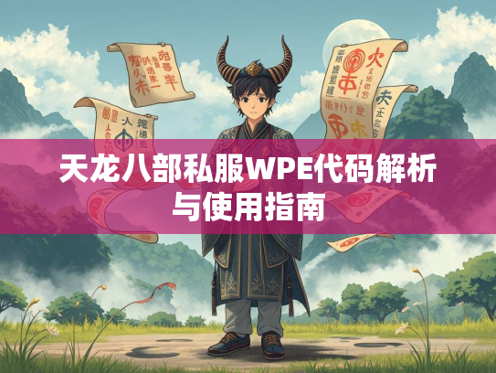 天龙八部私服WPE代码解析与使用指南