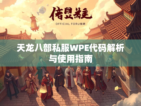 天龙八部私服WPE代码解析与使用指南