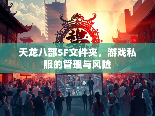 天龙八部SF文件夹，游戏私服的管理与风险