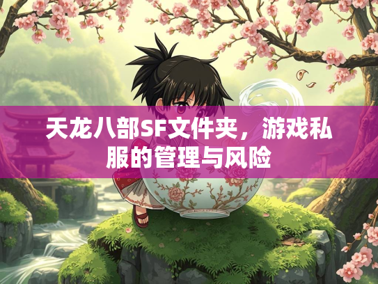 天龙八部SF文件夹，游戏私服的管理与风险