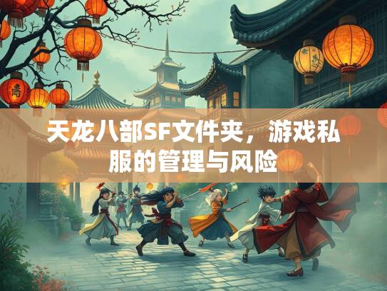 天龙八部SF文件夹，游戏私服的管理与风险