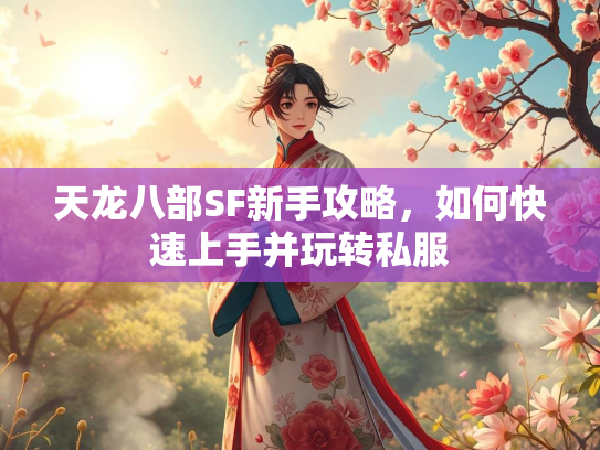 天龙八部SF新手攻略，如何快速上手并玩转私服