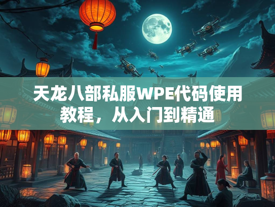 天龙八部私服WPE代码使用教程，从入门到精通  第3张