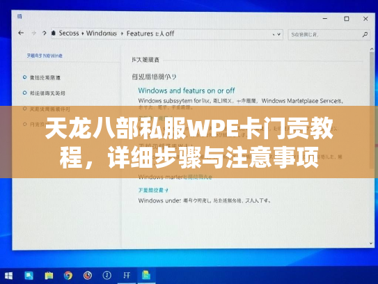 天龙八部私服WPE卡门贡教程，详细步骤与注意事项