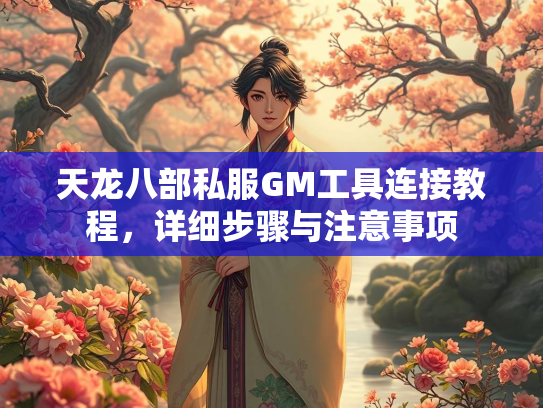 天龙八部私服GM工具连接教程，详细步骤与注意事项