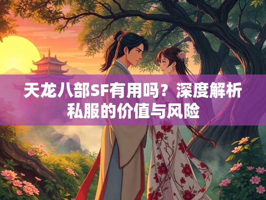 天龙八部SF有用吗？深度解析私服的价值与风险