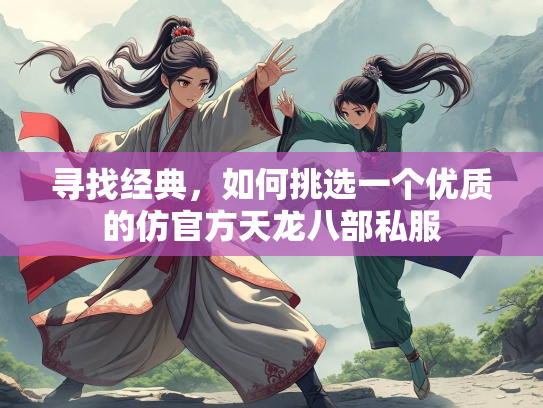 寻找经典，如何挑选一个优质的仿官方天龙八部私服