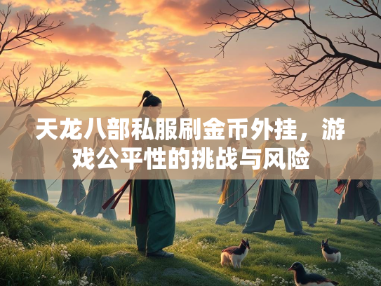 天龙八部私服刷金币外挂，游戏公平性的挑战与风险