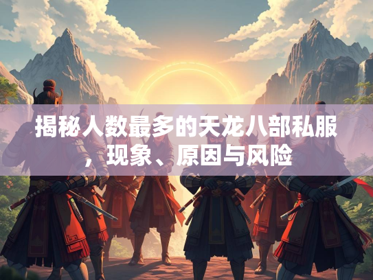 揭秘人数最多的天龙八部私服，现象、原因与风险