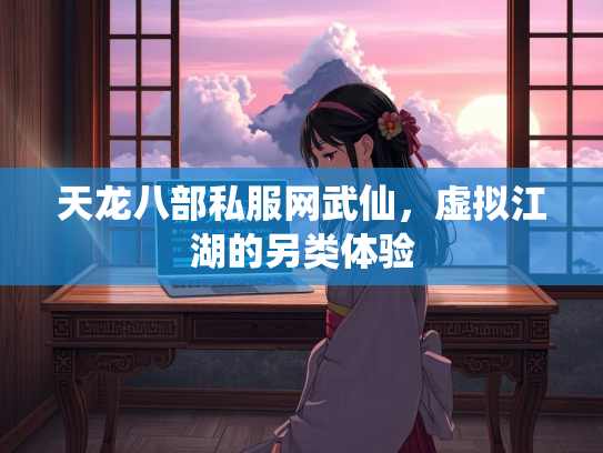 天龙八部私服网武仙，虚拟江湖的另类体验  第2张