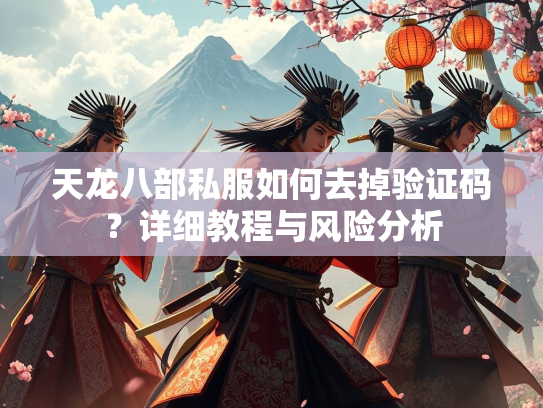 天龙八部私服如何去掉验证码？详细教程与风险分析