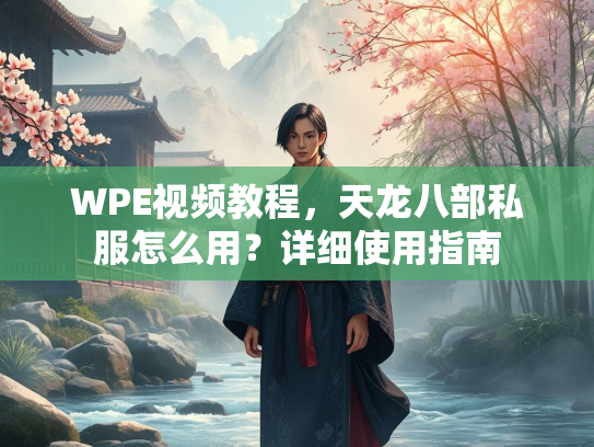 WPE视频教程，天龙八部私服怎么用？详细使用指南