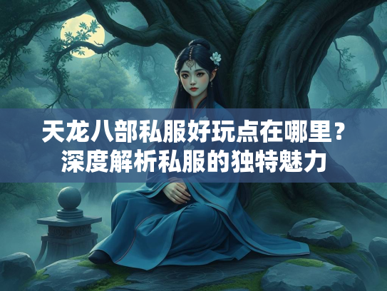 天龙八部私服好玩点在哪里？深度解析私服的独特魅力  第2张