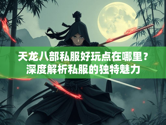 天龙八部私服好玩点在哪里？深度解析私服的独特魅力