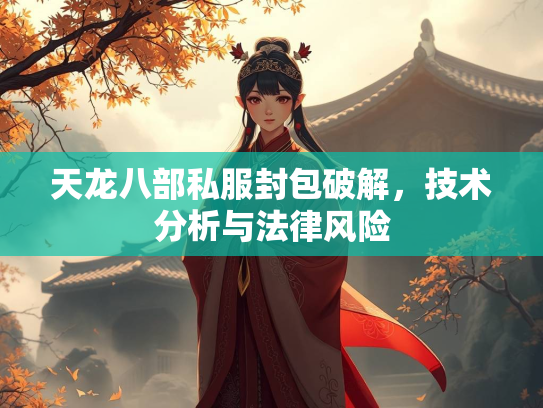 天龙八部私服封包破解，技术分析与法律风险  第2张