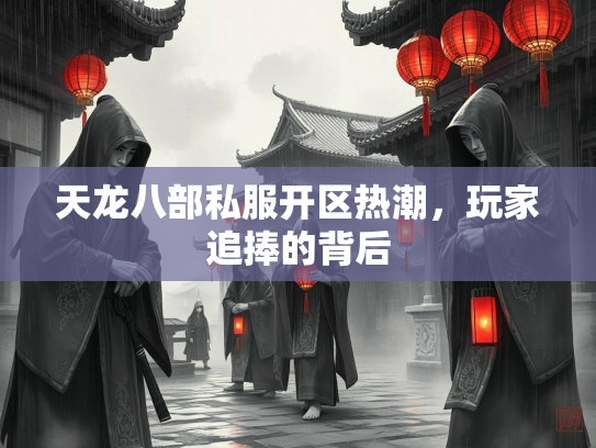 天龙八部私服开区热潮，玩家追捧的背后  第1张