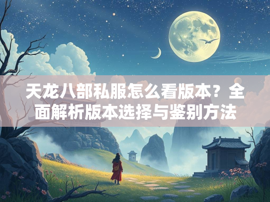 天龙八部私服怎么看版本？全面解析版本选择与鉴别方法