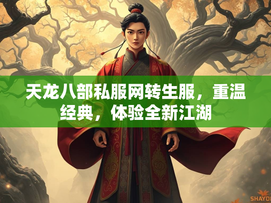 天龙八部私服网转生服，重温经典，体验全新江湖  第3张