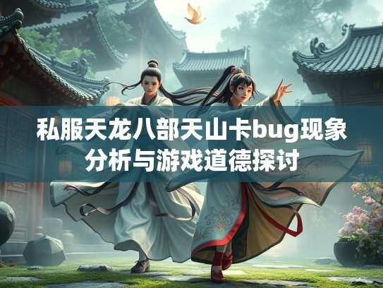 私服天龙八部天山卡bug现象分析与游戏道德探讨  第3张