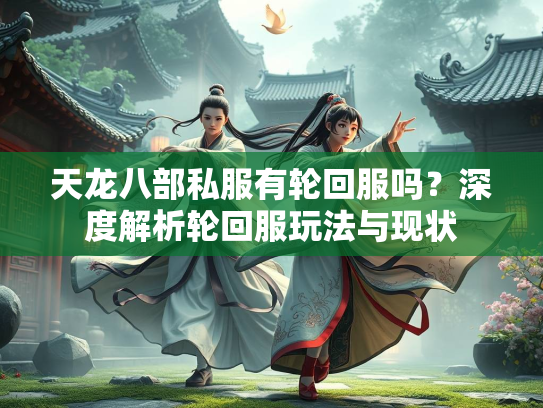 天龙八部私服有轮回服吗？深度解析轮回服玩法与现状
