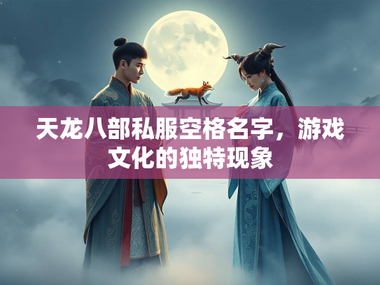 天龙八部私服空格名字，游戏文化的独特现象  第2张