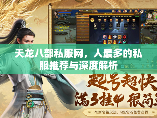 天龙八部私服网，人最多的私服推荐与深度解析