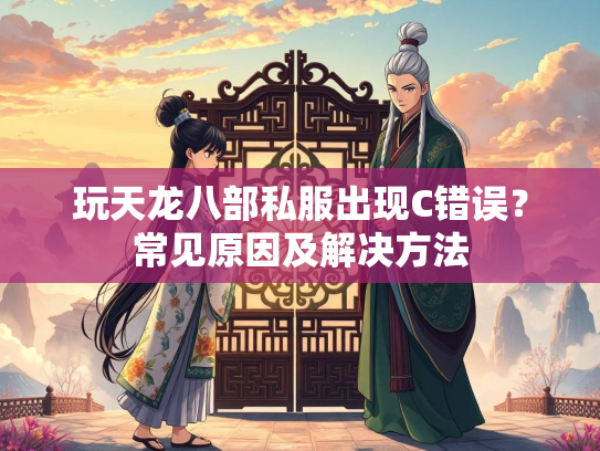 玩天龙八部私服出现C错误？常见原因及解决方法