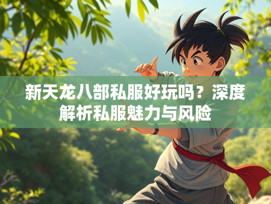 新天龙八部私服好玩吗？深度解析私服魅力与风险