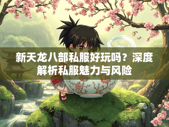 新天龙八部私服好玩吗？深度解析私服魅力与风险
