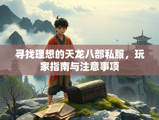 寻找理想的天龙八部私服，玩家指南与注意事项