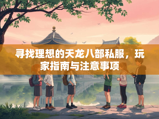 寻找理想的天龙八部私服，玩家指南与注意事项