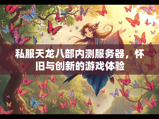 私服天龙八部内测服务器，怀旧与创新的游戏体验