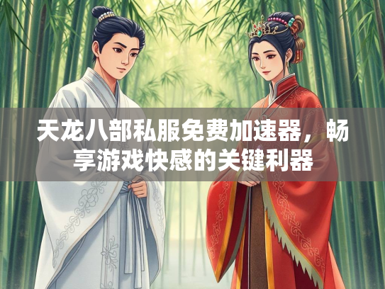 天龙八部私服免费加速器，畅享游戏快感的关键利器