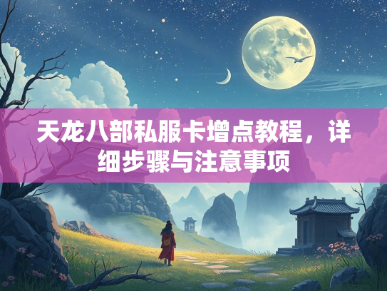 天龙八部私服卡增点教程，详细步骤与注意事项