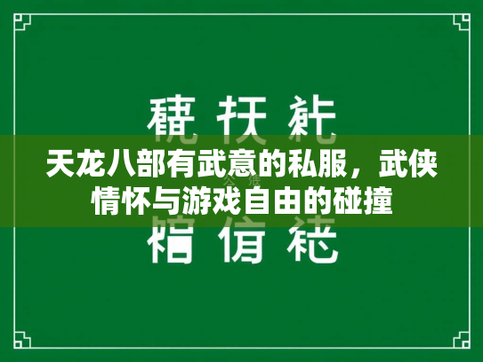 天龙八部有武意的私服，武侠情怀与游戏自由的碰撞