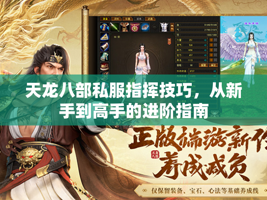 天龙八部私服指挥技巧，从新手到高手的进阶指南