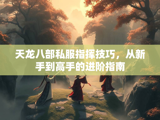天龙八部私服指挥技巧，从新手到高手的进阶指南